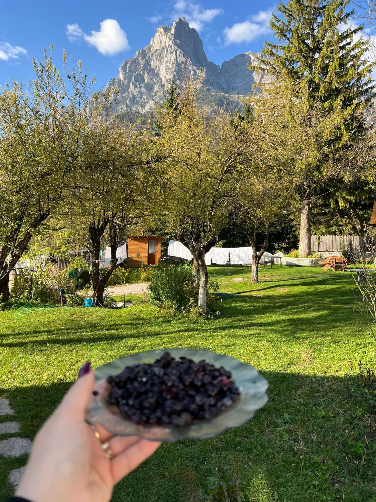Bed and Breakfast Bujtina Arlindi Valbone Exterior foto